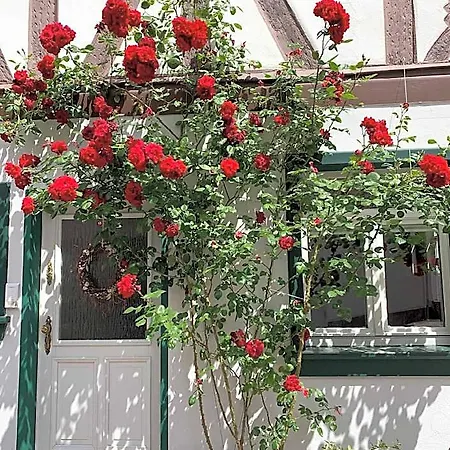 Altstadtglueck Hotel 2*